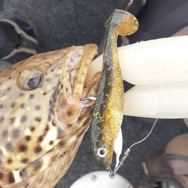 gallery – Aussie Native Lures